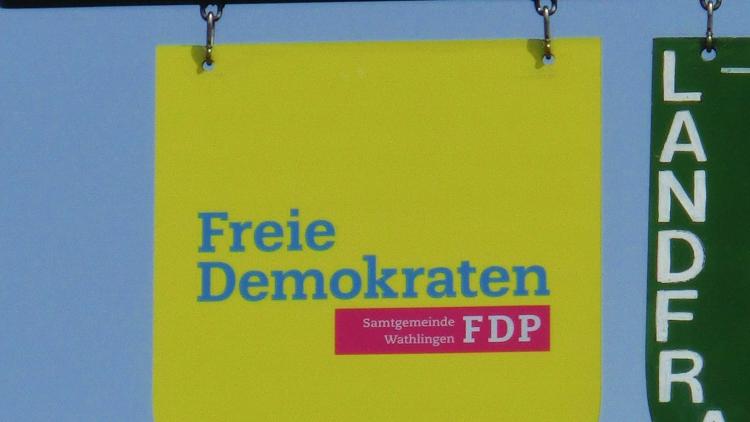 Maibaum in der SG Wathlingen mit FDP Schild